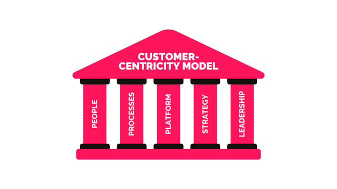 Customer-centricity-model-en_LIGHT