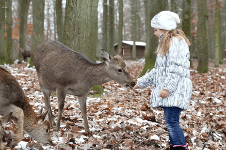 Tripsdrill 1 - zoo met Convious