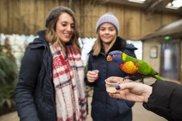 WMSP-Discovery-Lorikeets-Guests-19-scaled