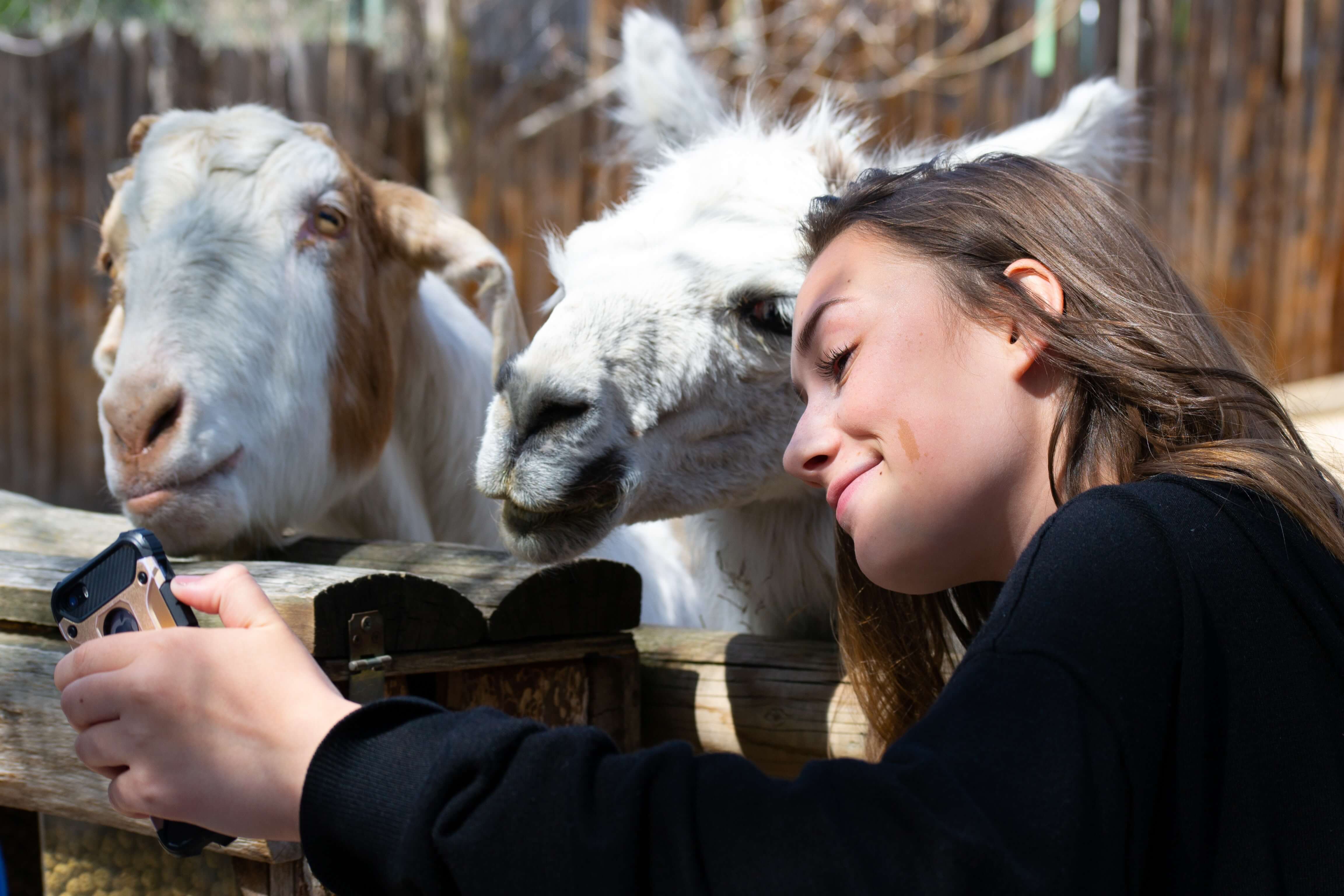 Visitor having better zoo experience with seamless donation process