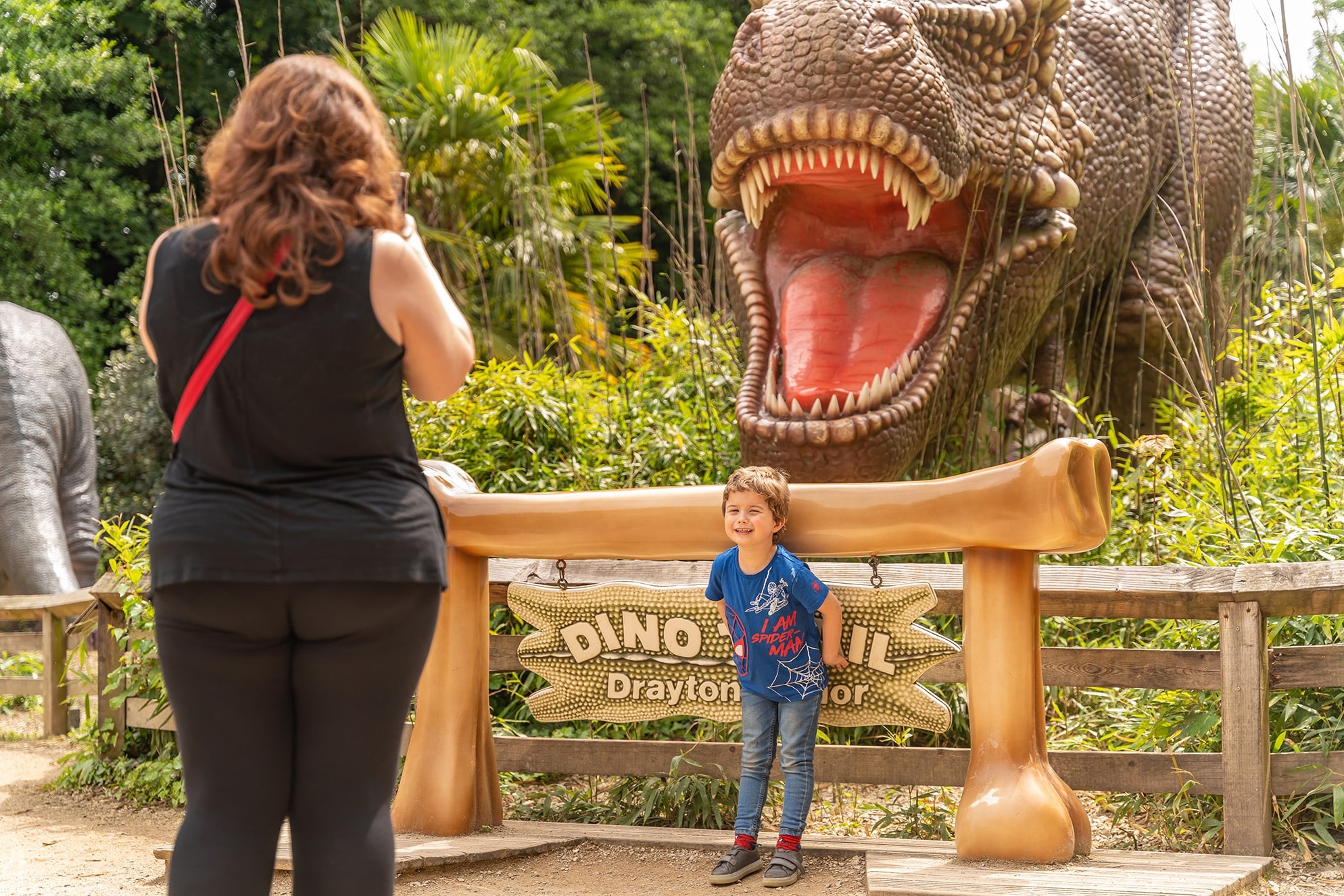 Visitors at Drayton Manor