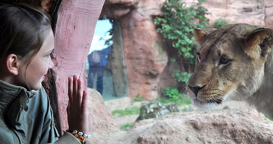 Erlebnis zoo Hannover